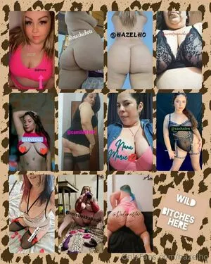 Hazelho Thumbnail Picture