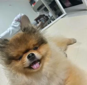 Heeheemoon OnlyFans Leaked Free Thumbnail Picture - #tKrdvLka0s