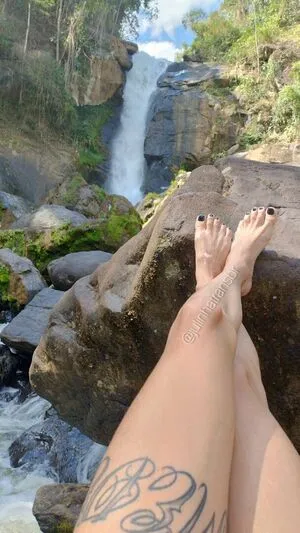 Julinhatransbr Thumbnail Picture