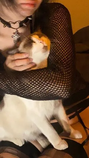 Kewlercat Thumbnail Picture