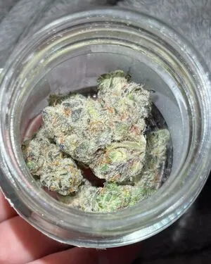 Kiley Kush OnlyFans Leaked Free Thumbnail Picture - #NnxVkHPI7a