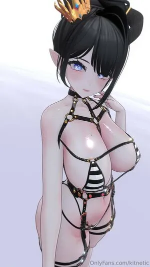 Kitnetic Thumbnail Picture