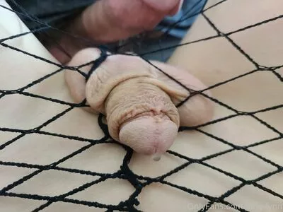 kitty-lynn OnlyFans Leaked Free Thumbnail Picture - #aPYtYBe3c4