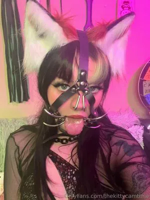 Kittycamtime Thumbnail Picture