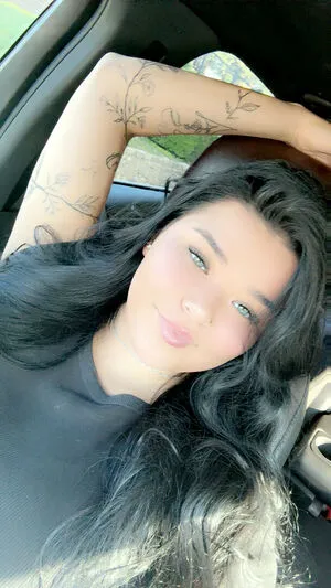 Laneyfox Thumbnail Picture