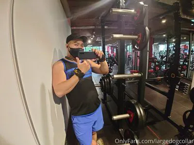 Largedogcollar OnlyFans Leaked Free Thumbnail Picture - #tRv3reByDL