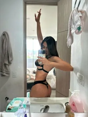 Leylasteel Thumbnail Picture
