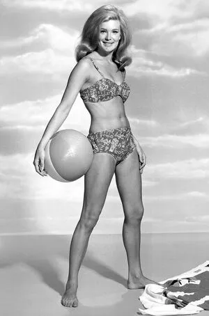 Linda Evans Thumbnail Picture