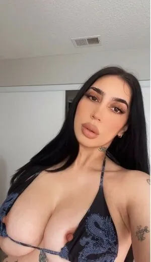 Lookalikes Thumbnail Picture
