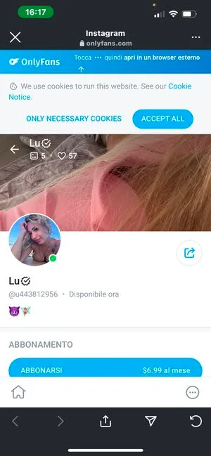 Luciettaetta Thumbnail Picture
