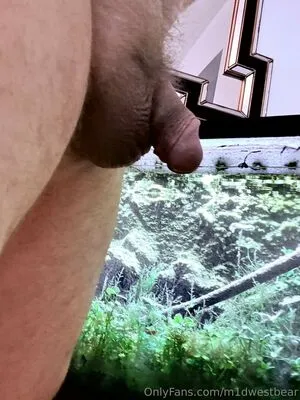 M1dwestbear OnlyFans Leaked Free Thumbnail Picture - #igZqa5tBPm