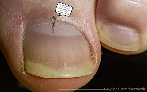 Macrocole OnlyFans Leaked Free Thumbnail Picture - #7brEj9I2PH