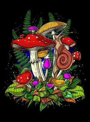 Magicmushroom OnlyFans Leaked Free Thumbnail Picture - #bPVhI5kis8
