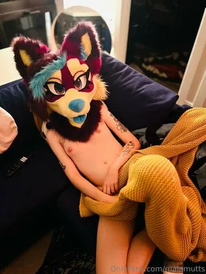 Malamutts Thumbnail Picture