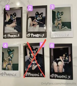 Malamutts OnlyFans Leaked Free Thumbnail Picture - #qhmxTNQvTq