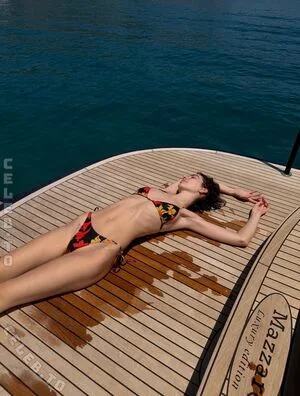 Meadow Walker Thumbnail Picture