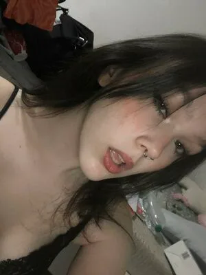 Meolex Thumbnail Picture