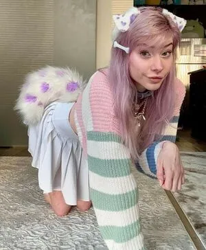 Meow Dalyn Thumbnail Picture
