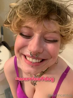 Merricatdog Thumbnail Picture