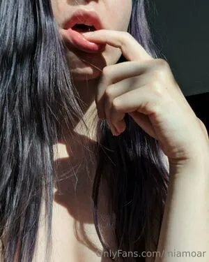 Miamoar Thumbnail Picture
