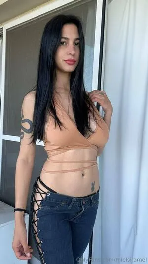 Mielsitamel Thumbnail Picture