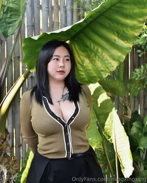 Mingxingxing OnlyFans Leaked Free Thumbnail Picture - #4FLSYzcoq0