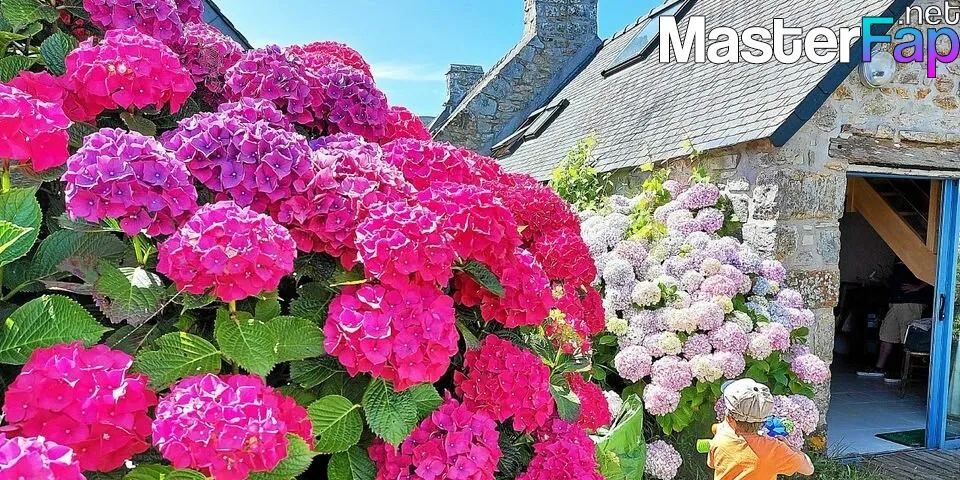 Missluluarab OnlyFans Leak Picture - #hI2Ey0hZQr.