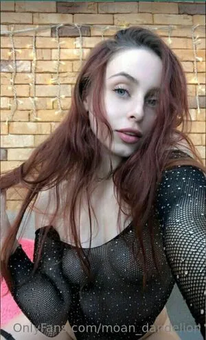 Moan Dandelion OnlyFans Leaked Free Thumbnail Picture - #KSCVcnZ8oD