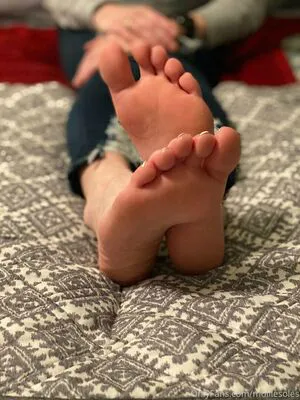 Molliesoles Thumbnail Picture