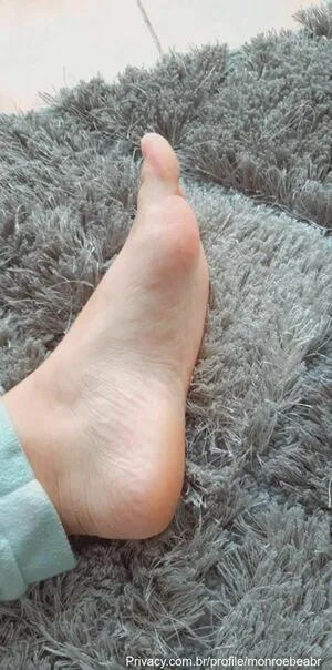 Monroebeabr Thumbnail Picture