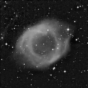 Nebula OnlyFans Leaked Free Thumbnail Picture - #6DDMa3fx5F