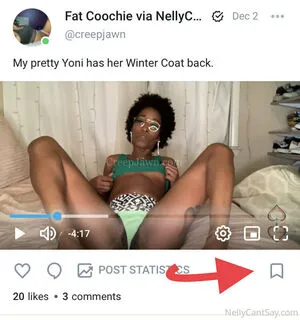 Nellycantsay Thumbnail Picture