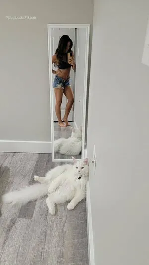 Nikki Davis Thumbnail Picture