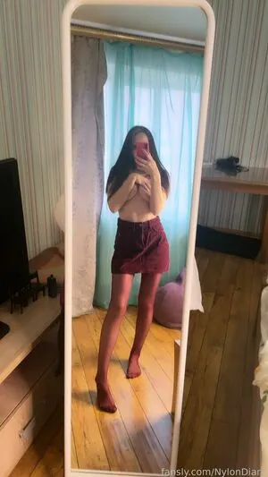 Nylondiary Thumbnail Picture