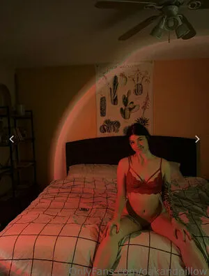 Oakandpillow Thumbnail Picture