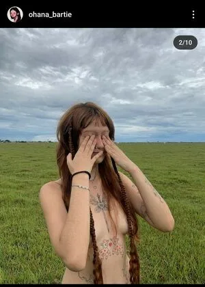 Ohana Bartie Thumbnail Picture