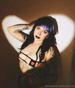 Opalcat OnlyFans Leaked Free Thumbnail Picture - #PEmNV1oJbW
