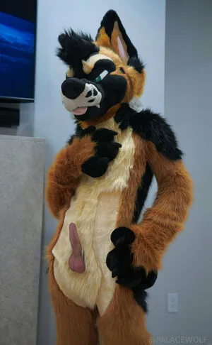 Palacewolf OnlyFans Leaked Free Thumbnail Picture - #gL5mEQHVVL