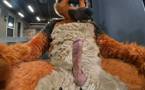 Palacewolf OnlyFans Leaked Free Thumbnail Picture - #rxwG5lXihB