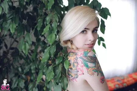 Paloma OnlyFans Leaked Free Thumbnail Picture - #prJfCbjXDv