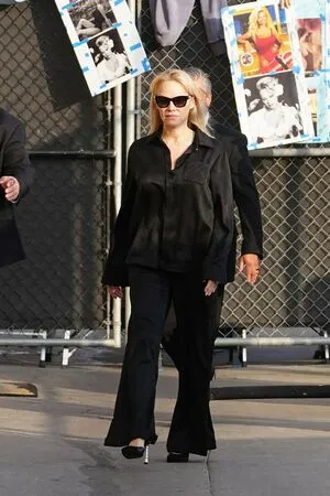 Pamela Anderson Thumbnail Picture