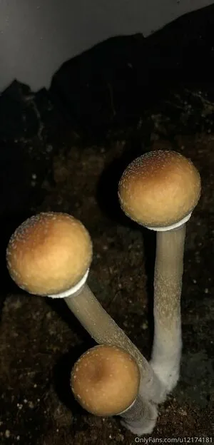 Peacheyscreams OnlyFans Leaked Free Thumbnail Picture - #2HOI2fVdp9
