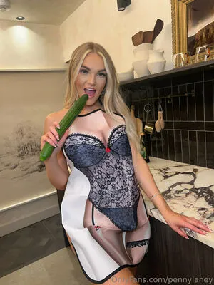 Pennylaney Thumbnail Picture