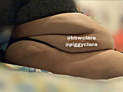 Piggyclara Thumbnail Picture