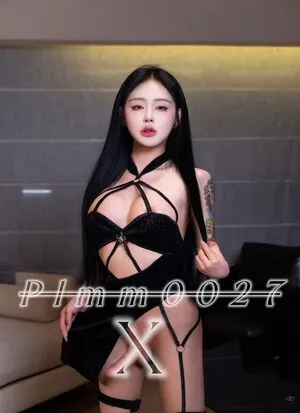 Plmm0027 Thumbnail Picture