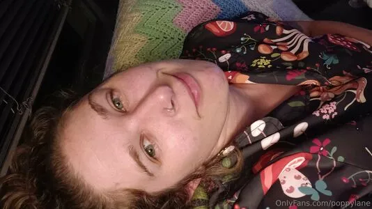 Poppylane Thumbnail Picture