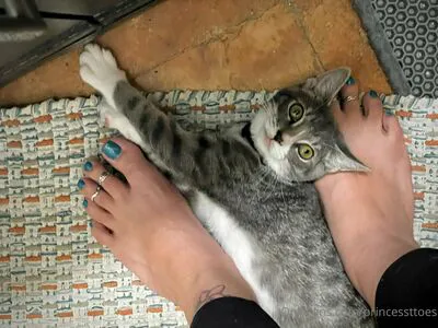 Princessttoes Thumbnail Picture