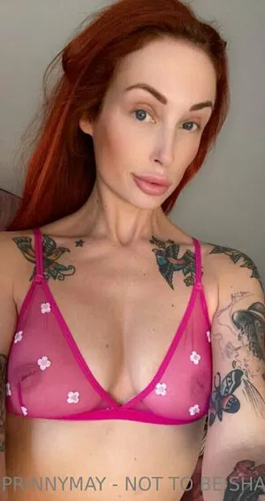 Prinnymay OnlyFans Leaked Free Thumbnail Picture - #pmkJfGkf82