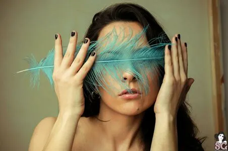 Priscila Thumbnail Picture