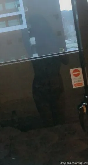 Pugsxox Thumbnail Picture